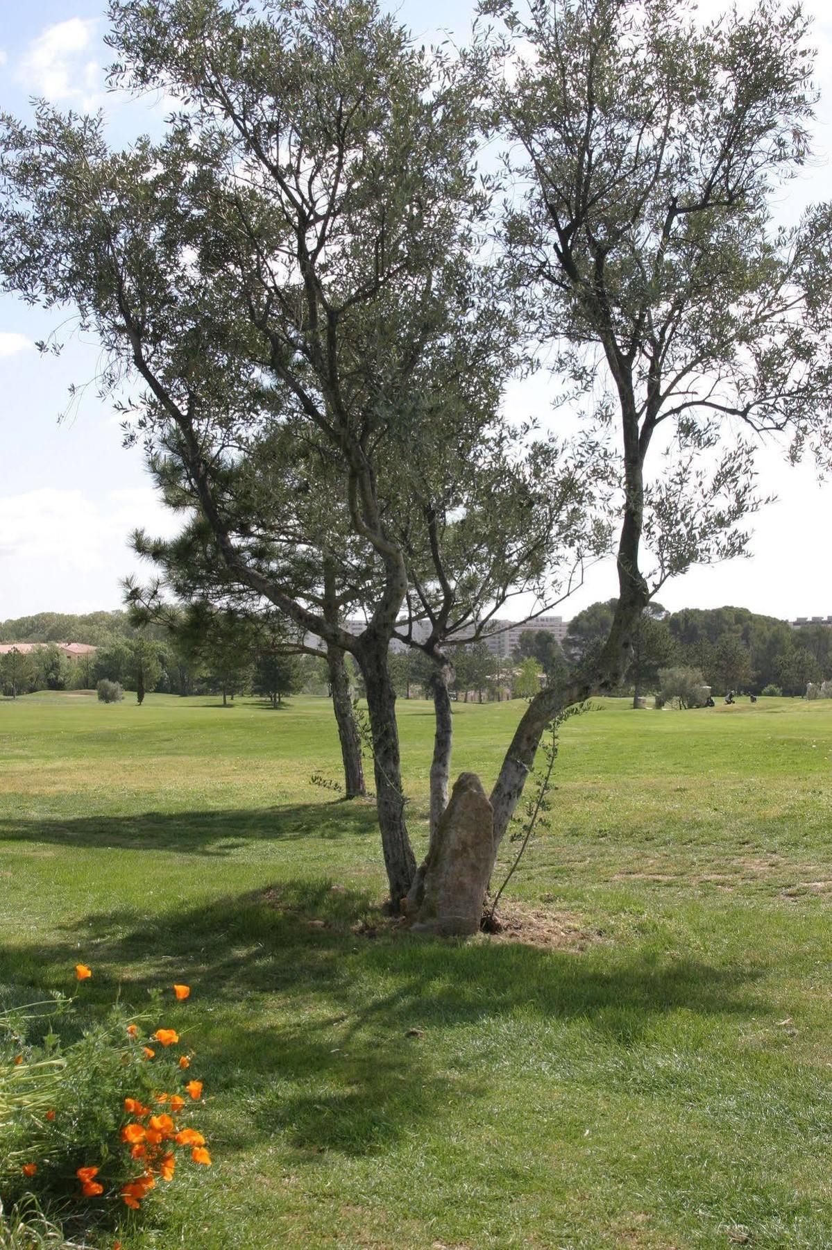 Residence De Tourisme Cote Green Juvignac Dış mekan fotoğraf